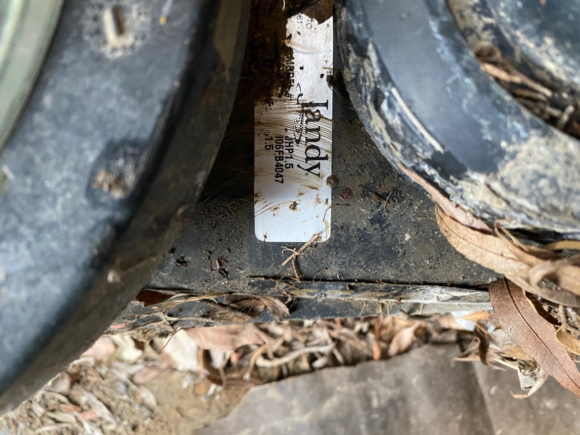 image1.jpeg