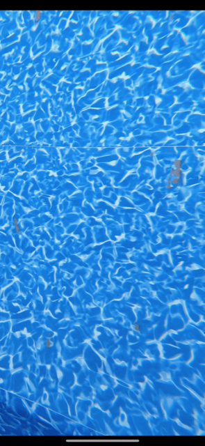 image1.png