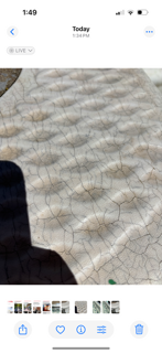 image1.png