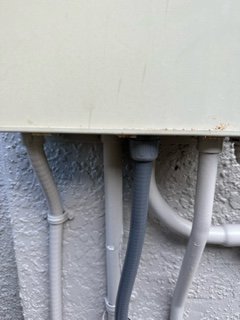image10.jpeg