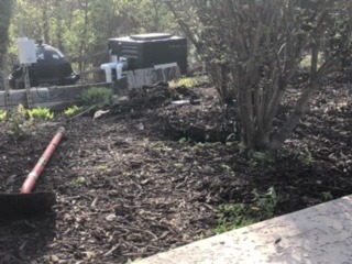 image2 (1).jpeg