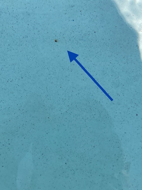 image2.jpeg