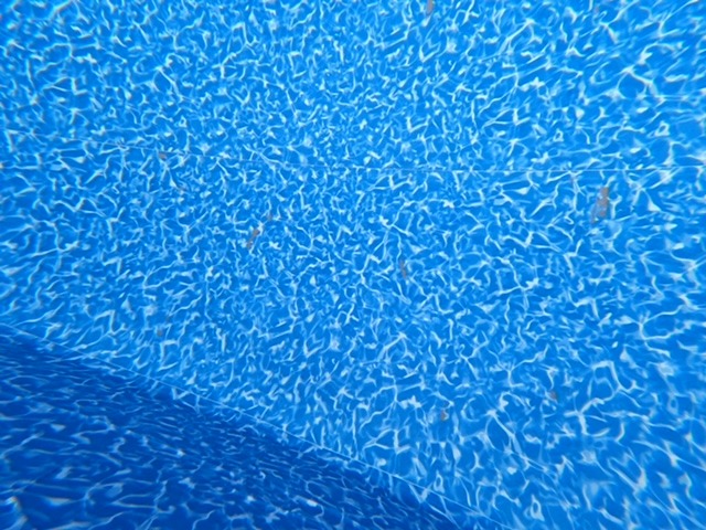 image2.jpeg