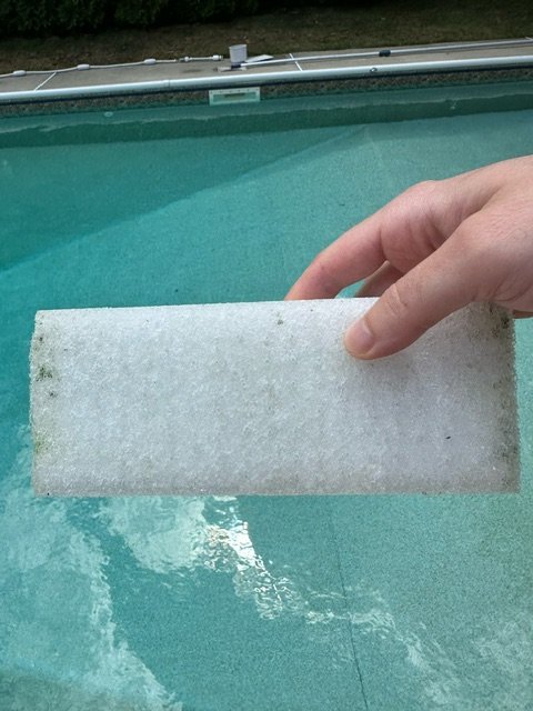 image2.jpeg
