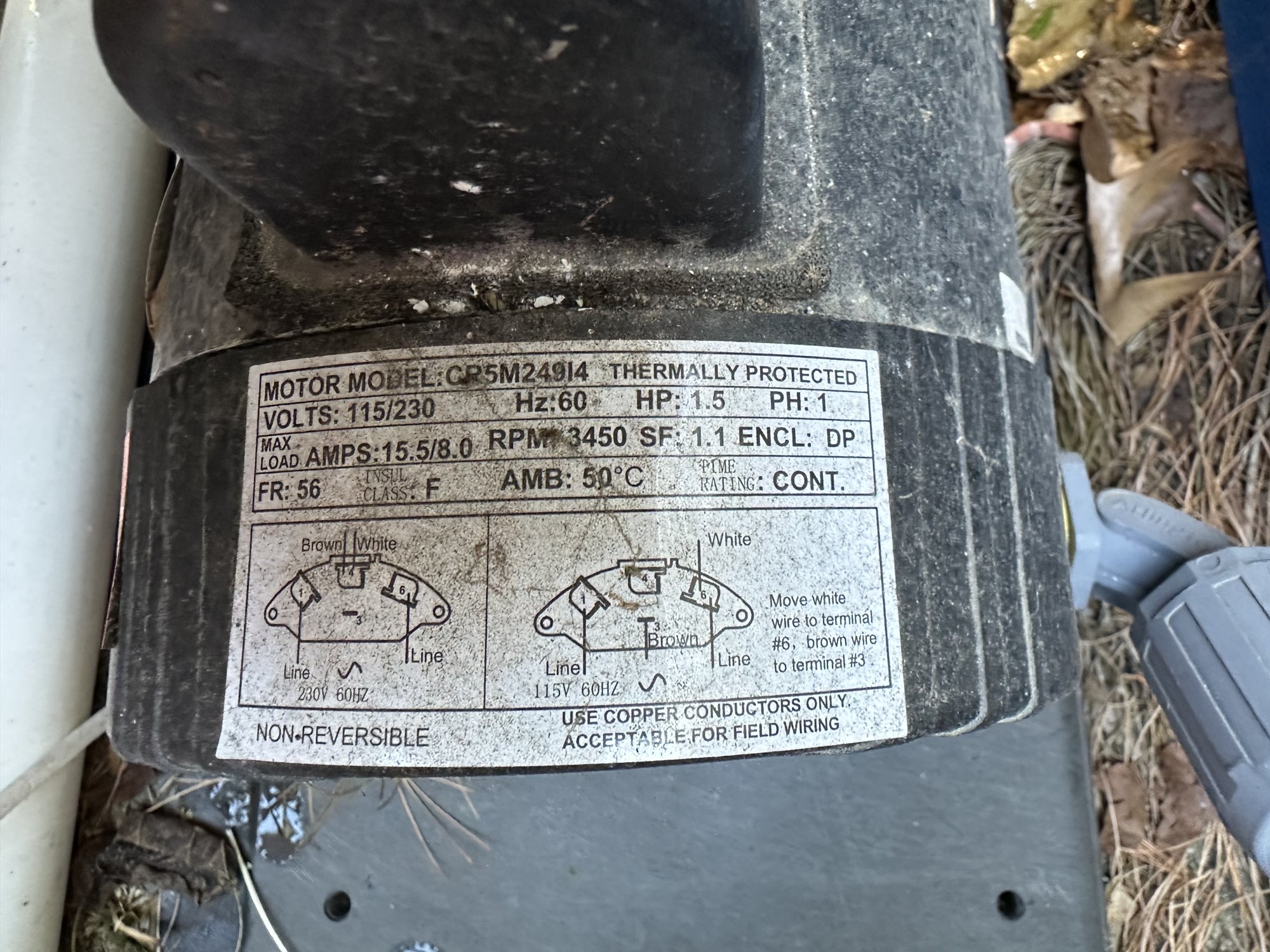 image2.jpeg
