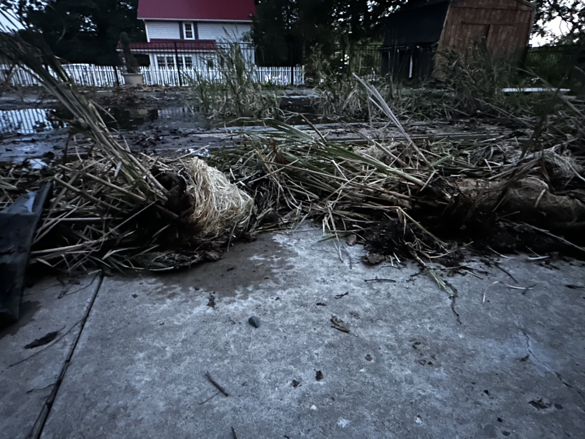 image4[1].jpeg