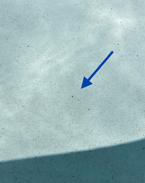 image4.jpeg