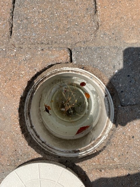 image6.jpeg