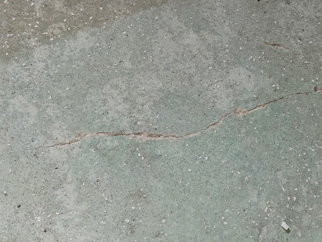 image8.jpeg
