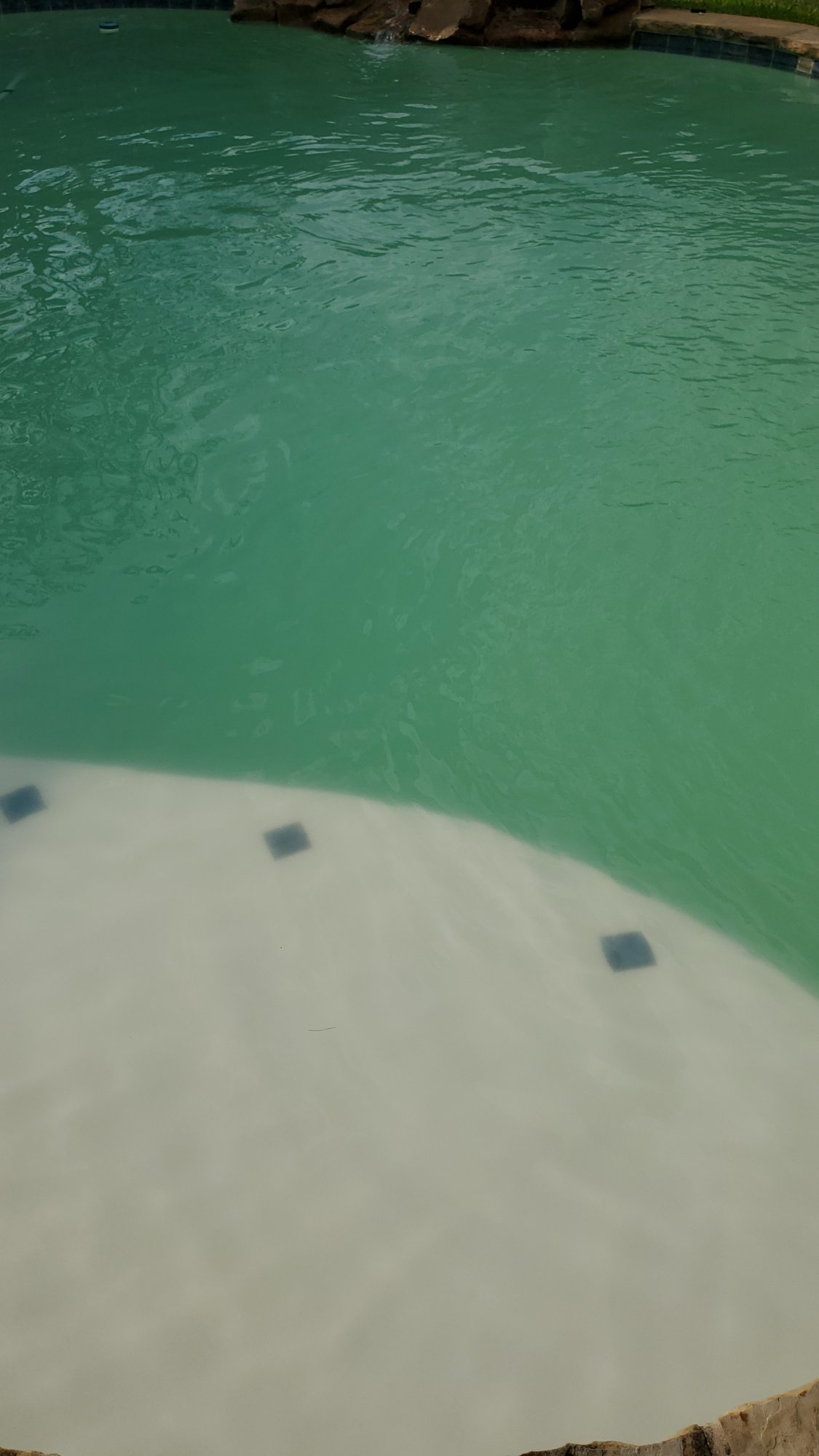 IMG-20210718-WA0003.jpeg