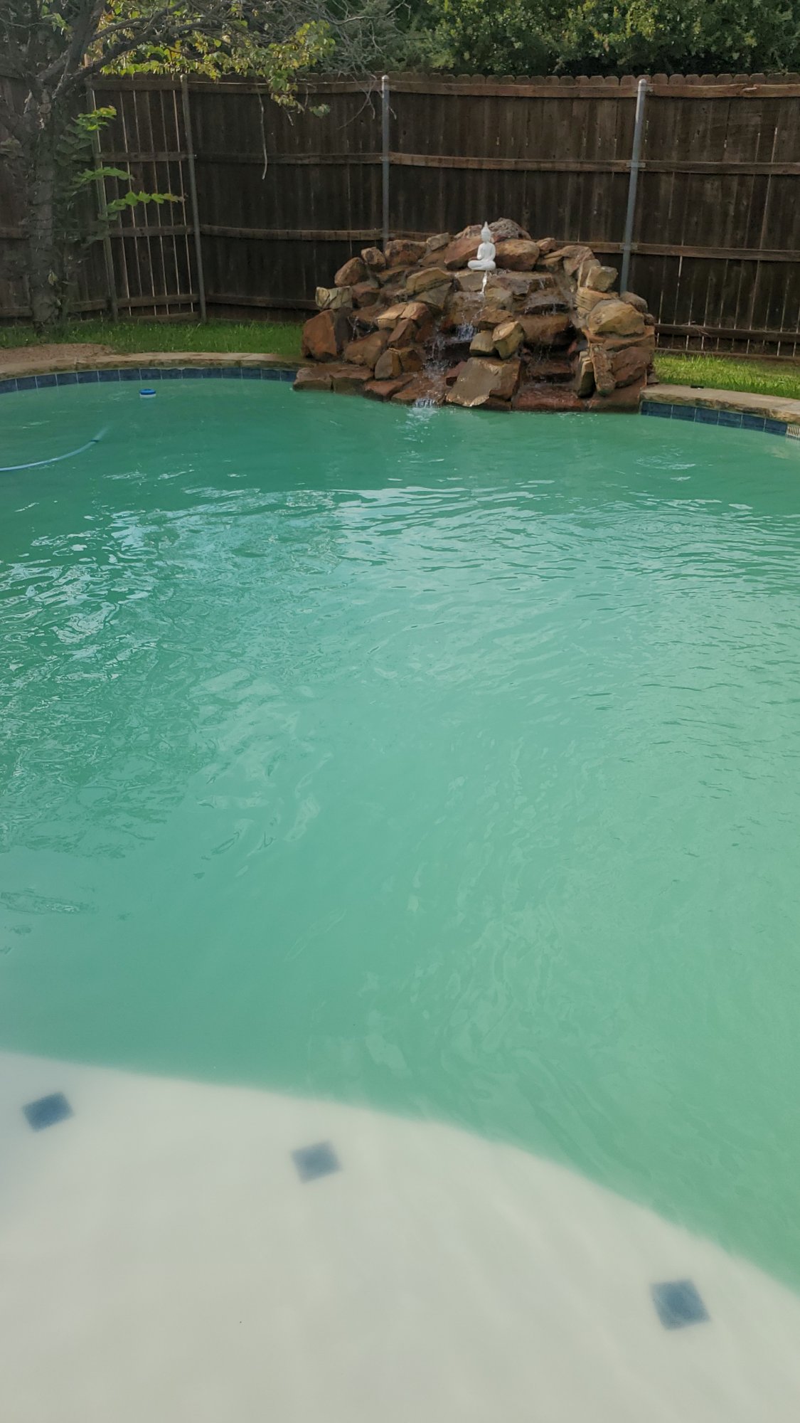 IMG-20210718-WA0005.jpeg