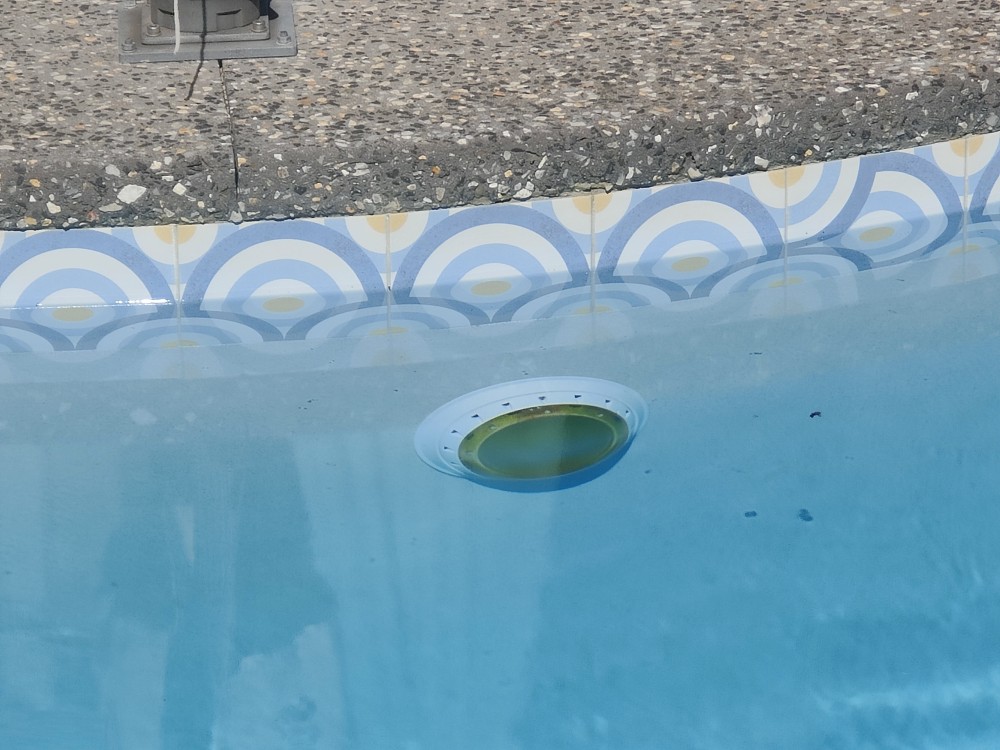 img light with algae.jpg