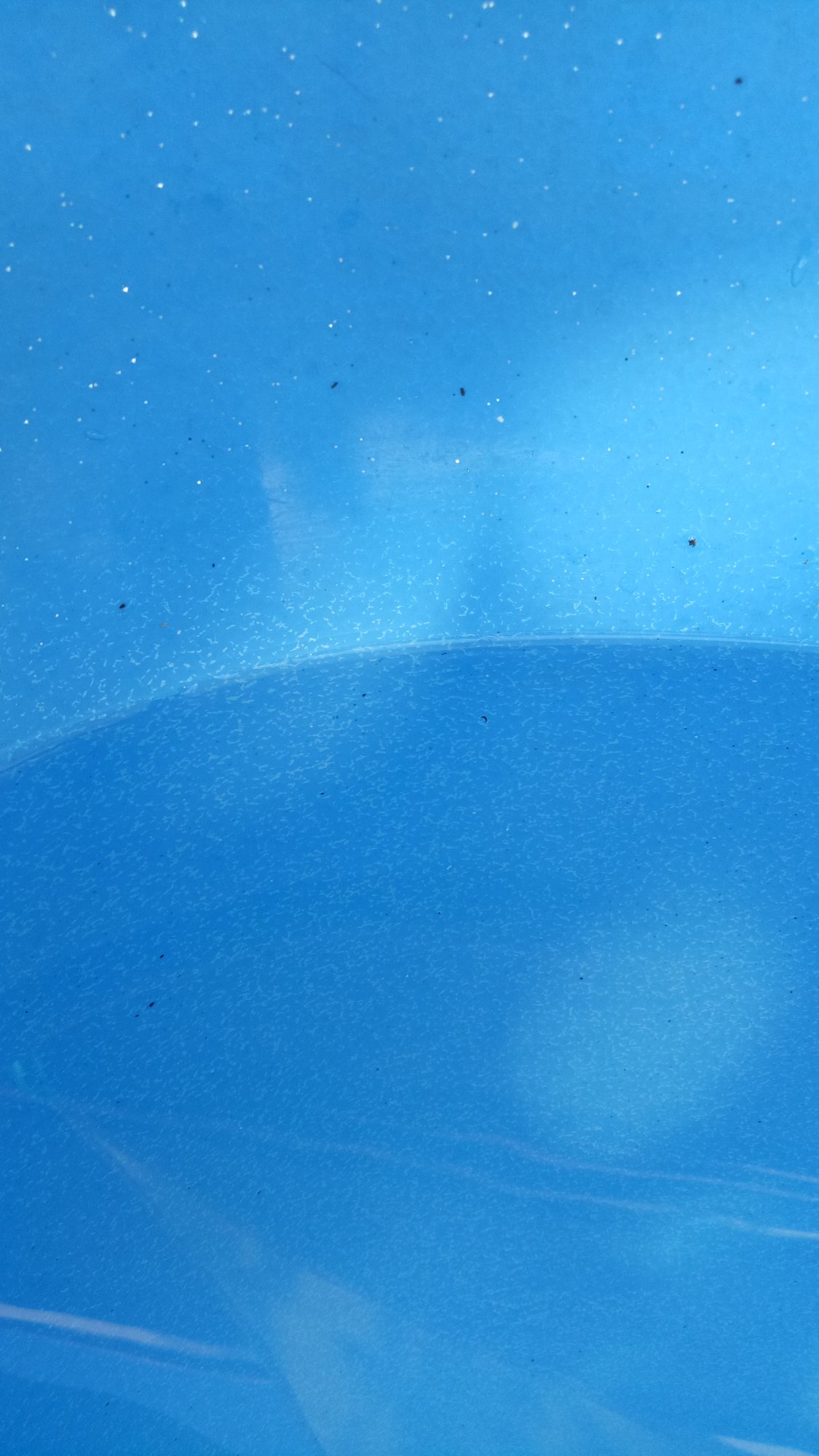 IMG20210201085606.jpg