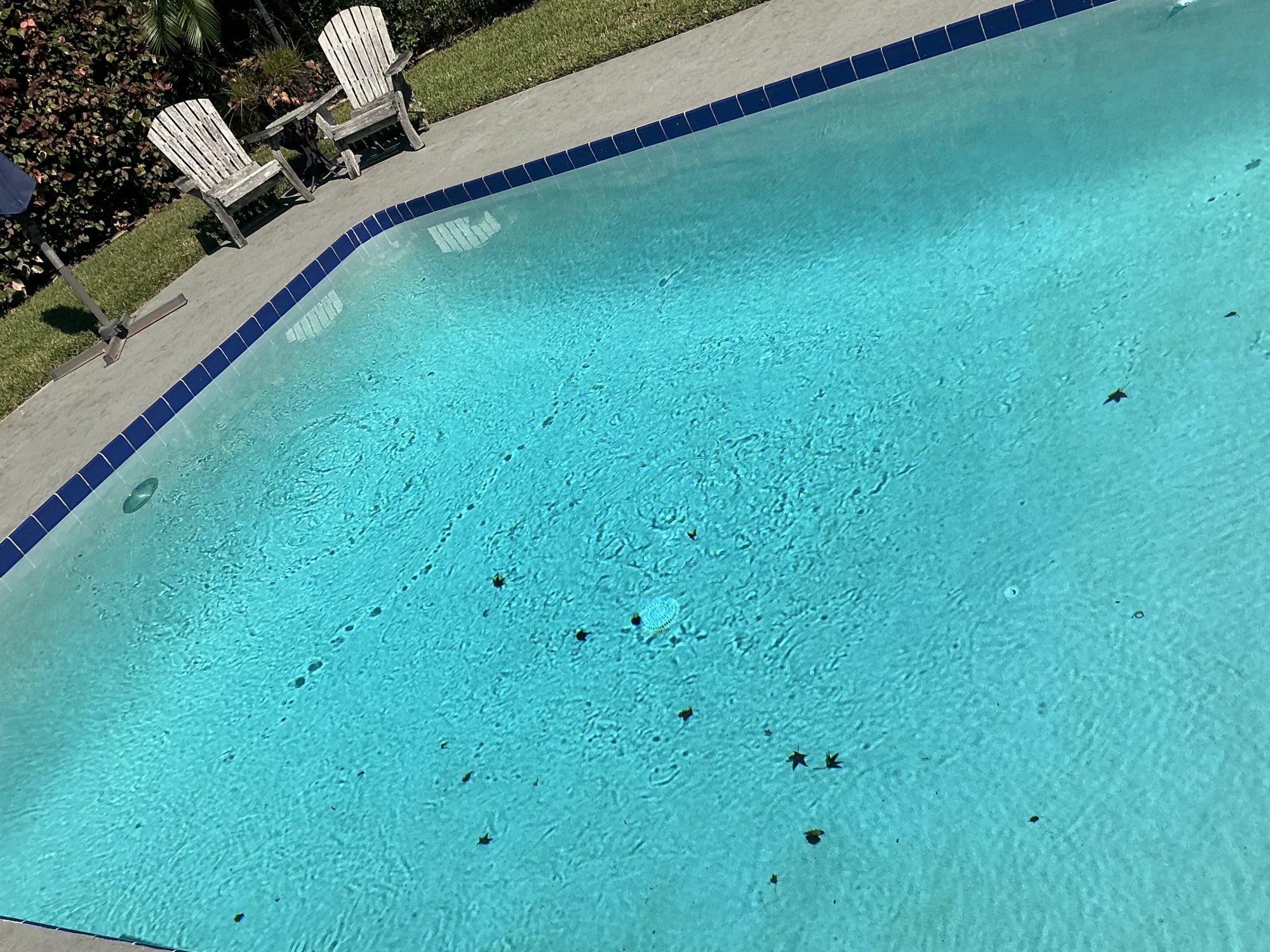 IMG_0037.jpeg