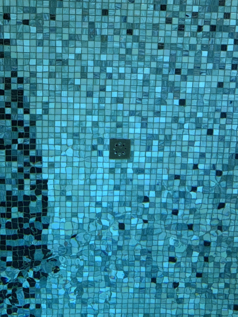 IMG_0060.jpeg