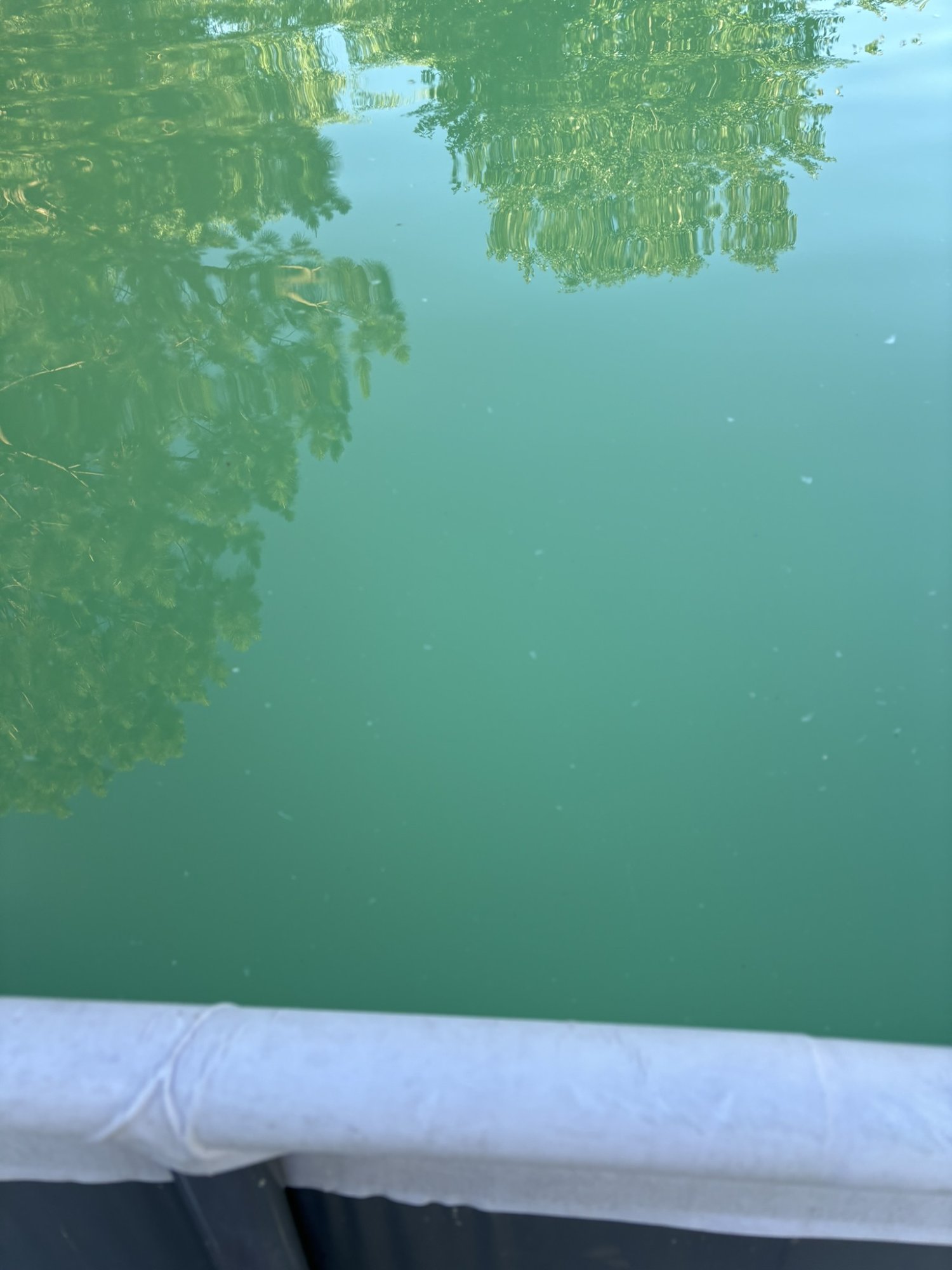IMG_0118.JPEG