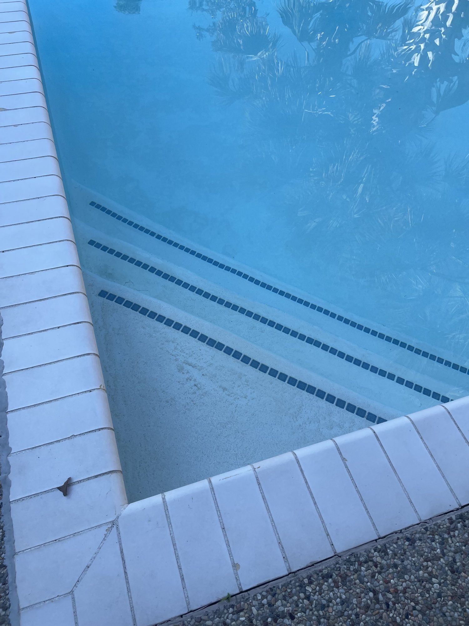 IMG_0156.jpeg