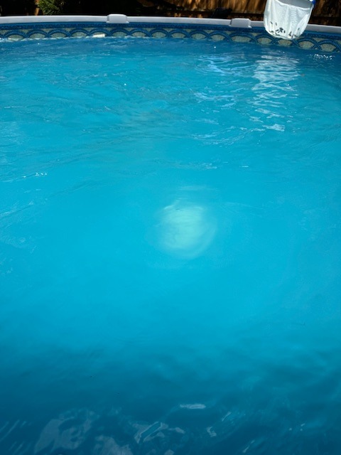 IMG_0204.jpeg