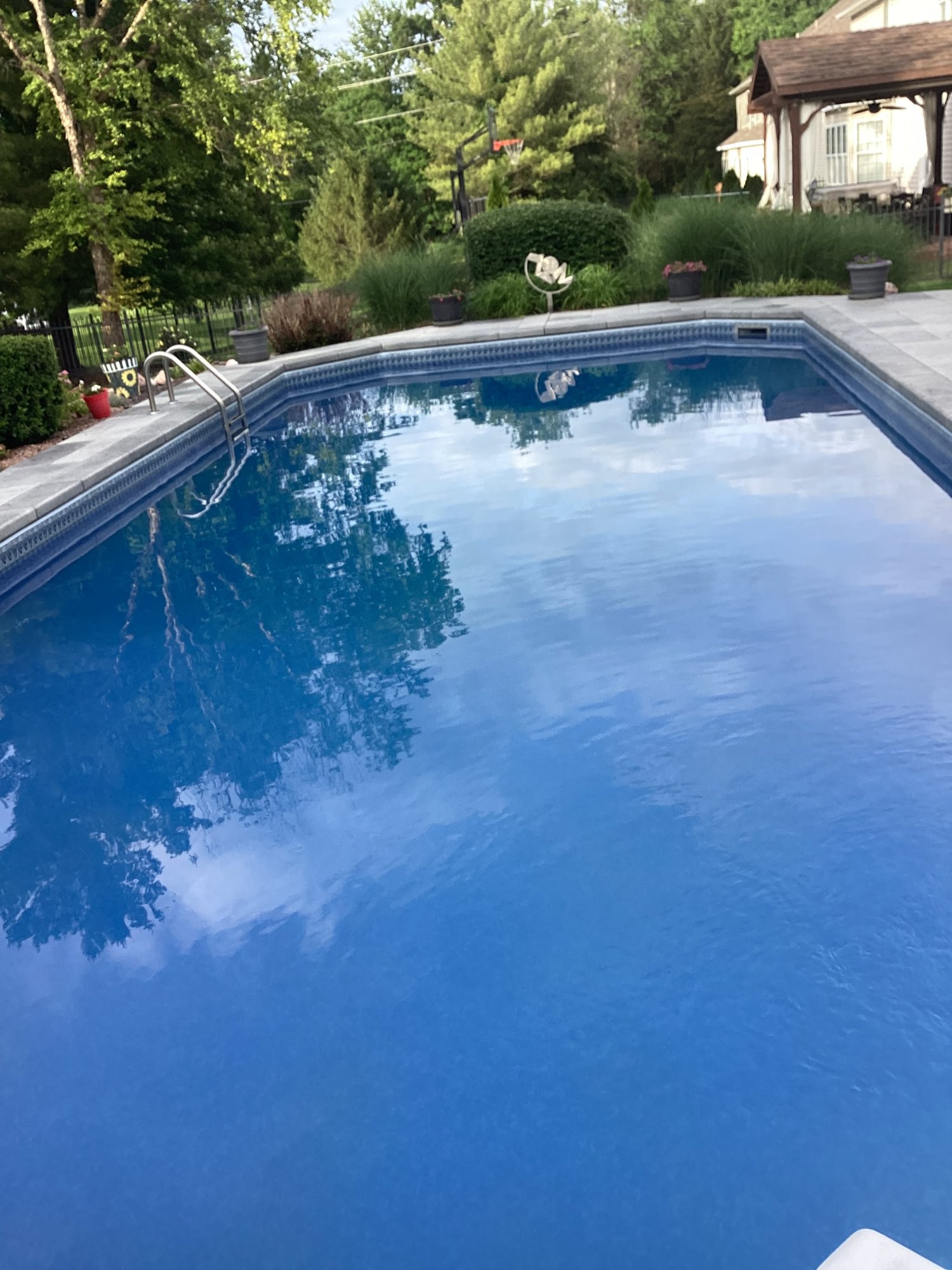 IMG_0214.jpeg