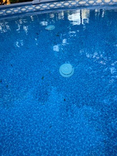 IMG_0221.jpeg