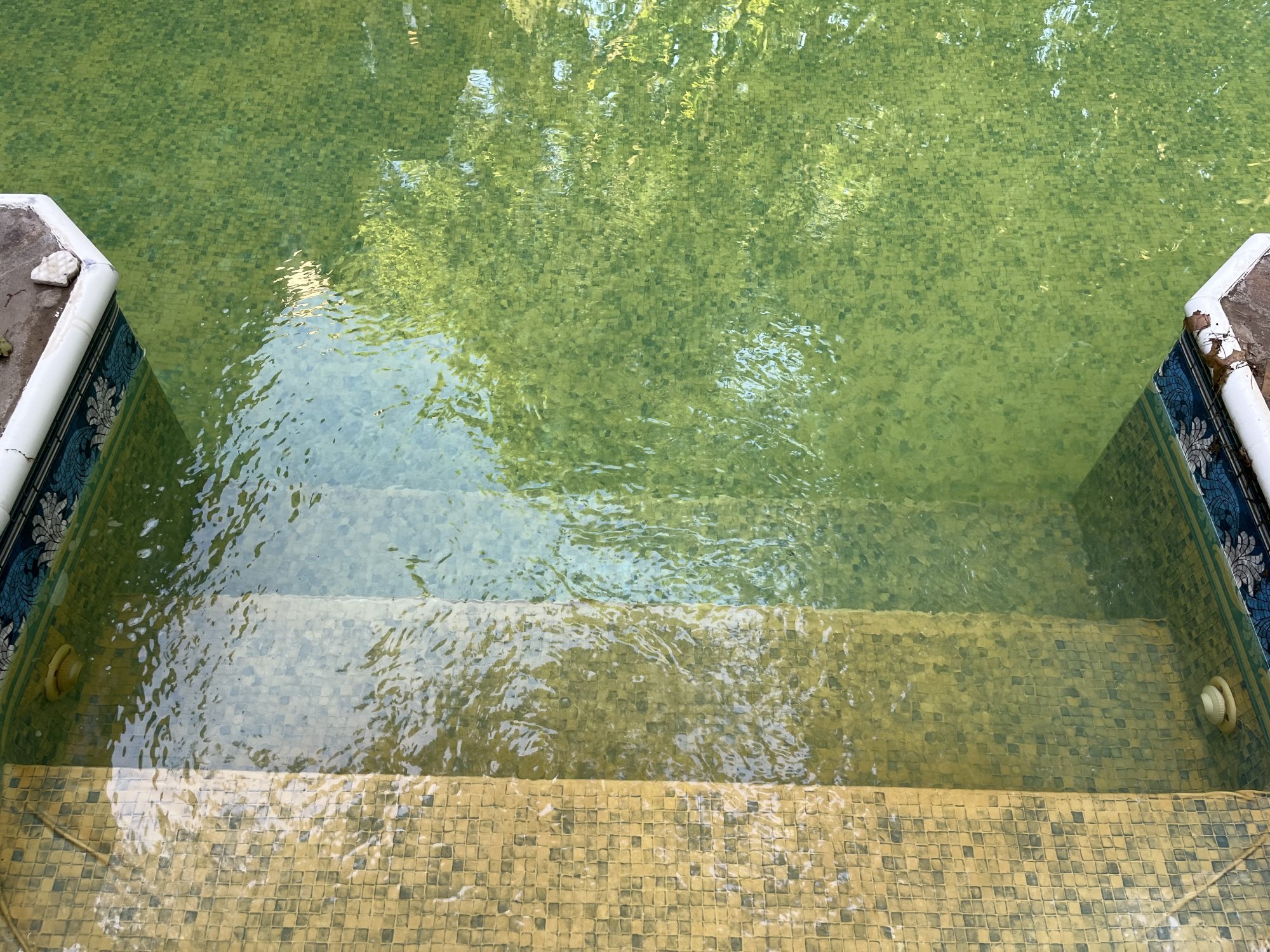 IMG_0224.jpeg