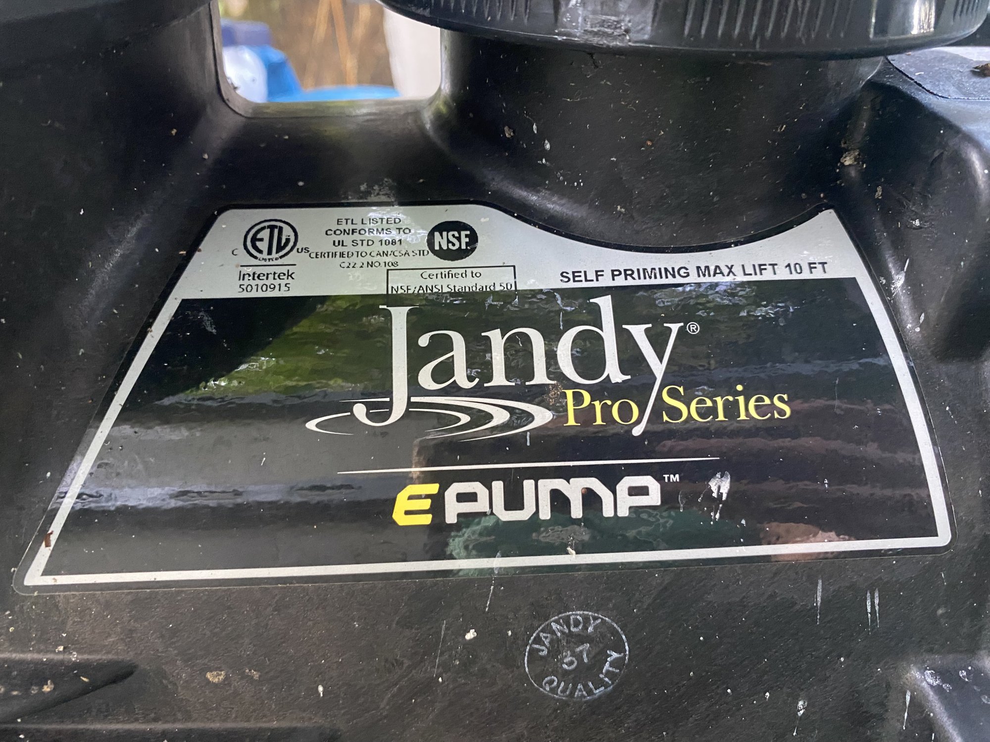 IMG_0252.jpeg
