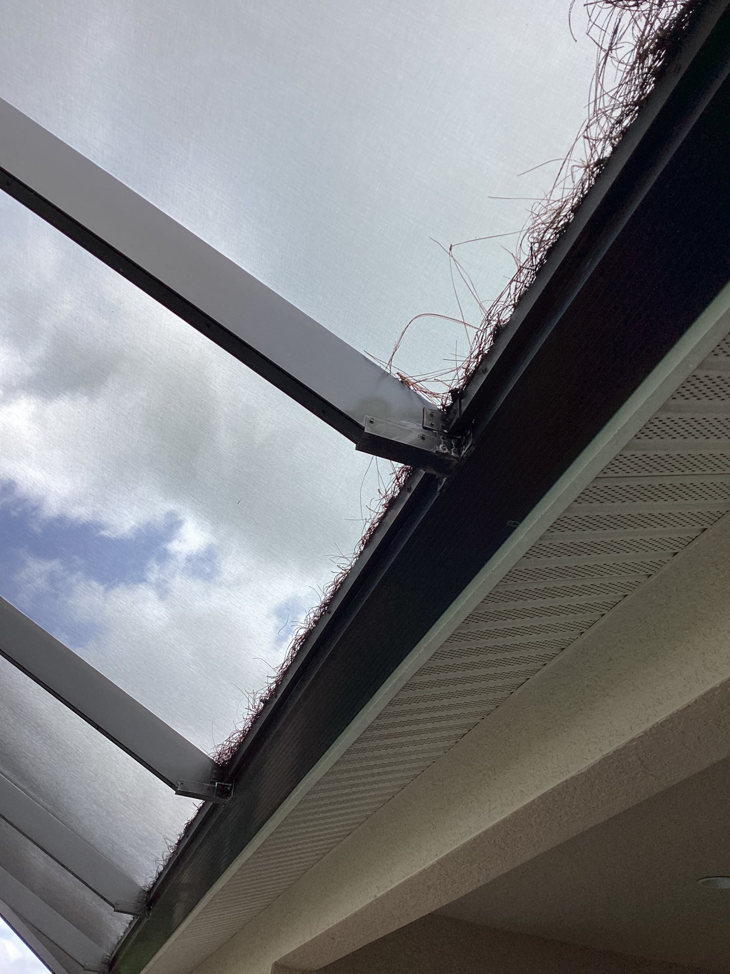 IMG_0285.jpeg