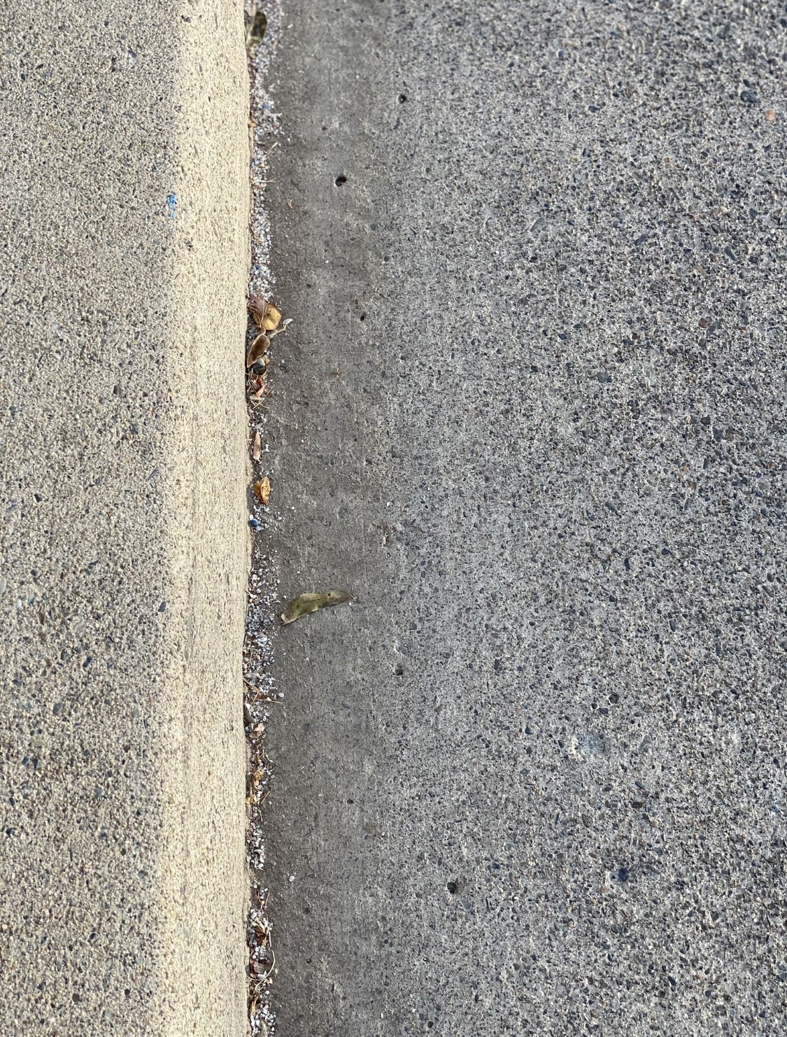 IMG_0332.jpeg