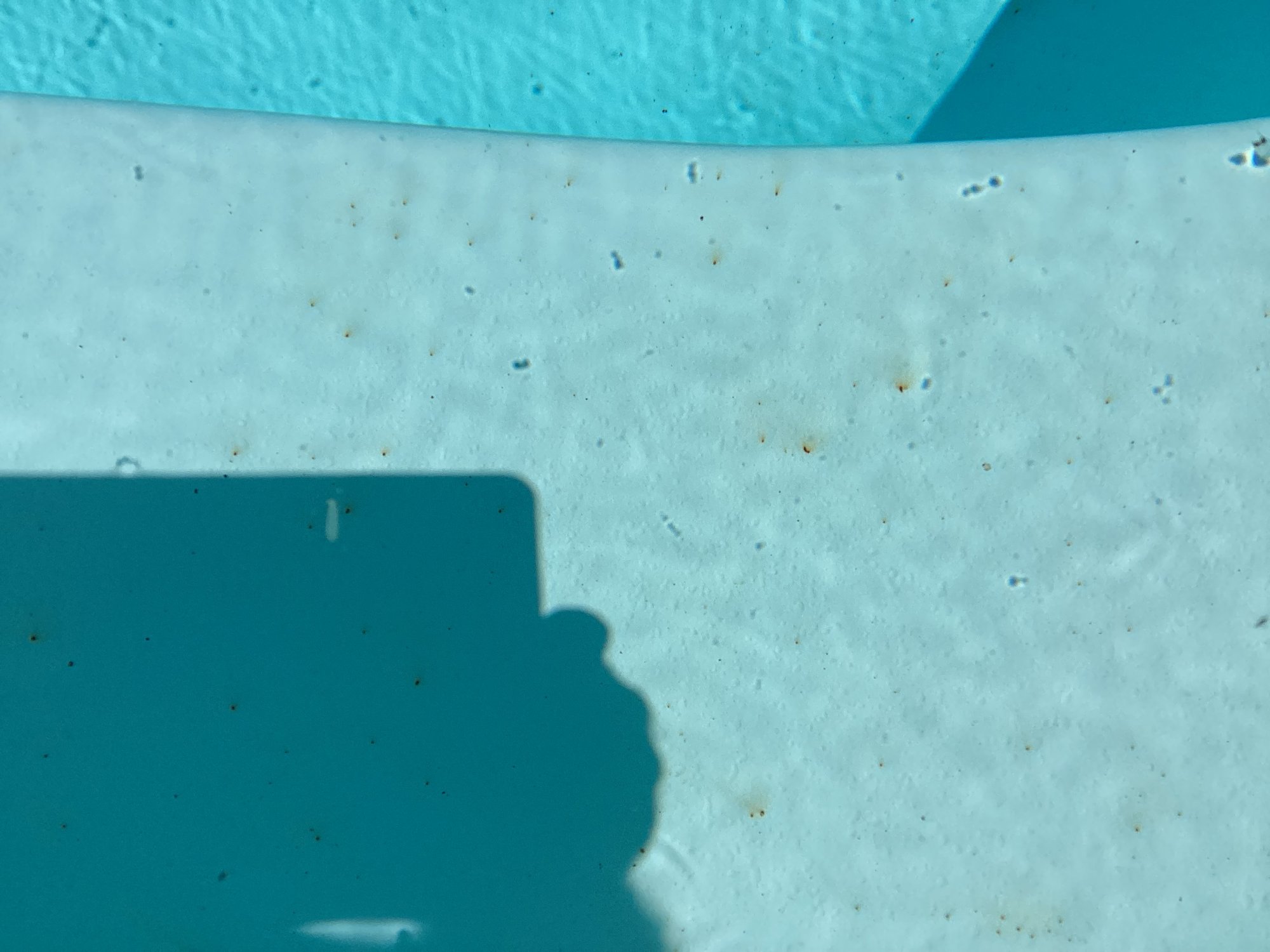 IMG_0352.jpeg