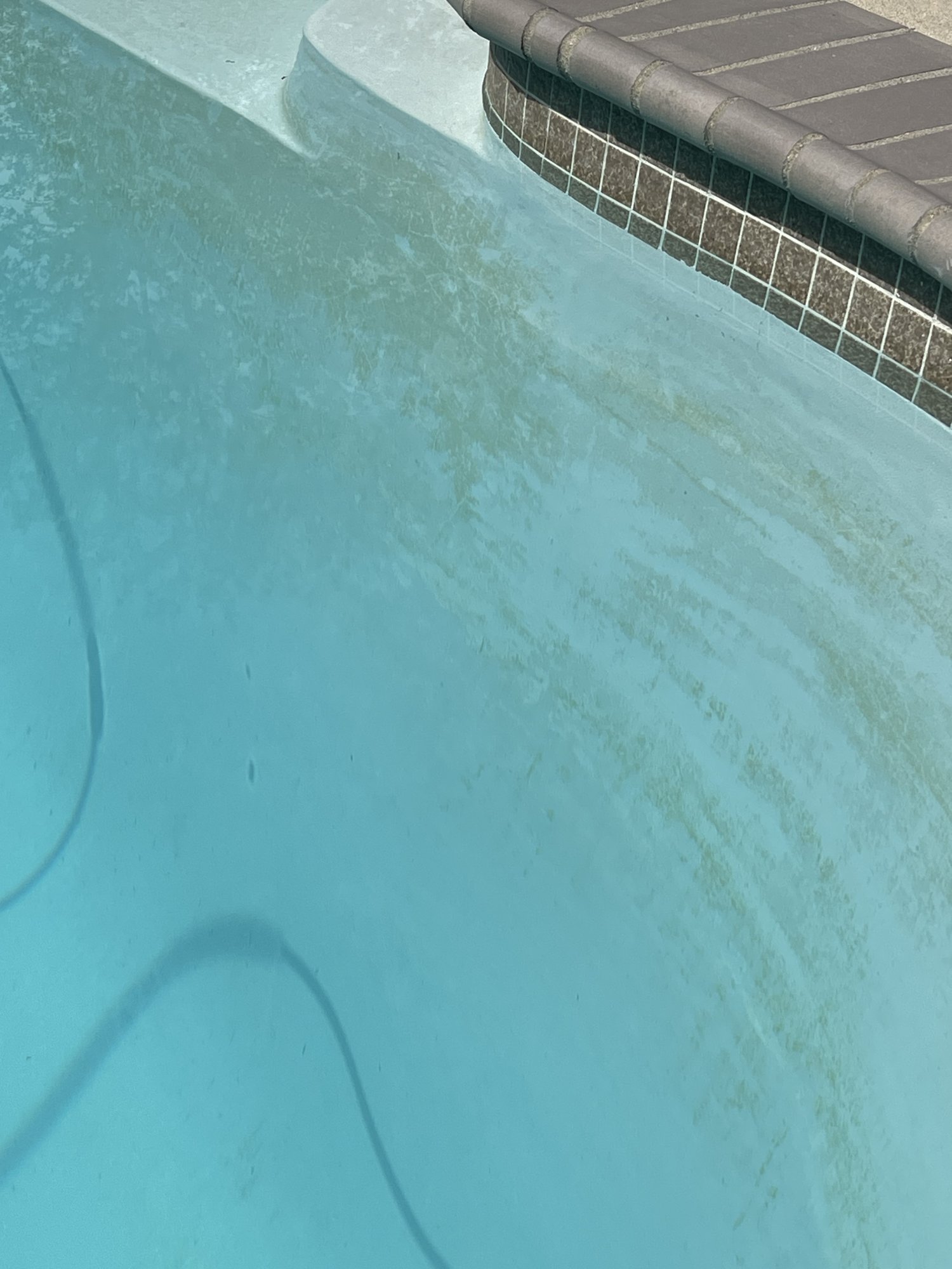 IMG_0377.jpeg
