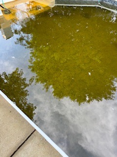 IMG_0488.jpeg