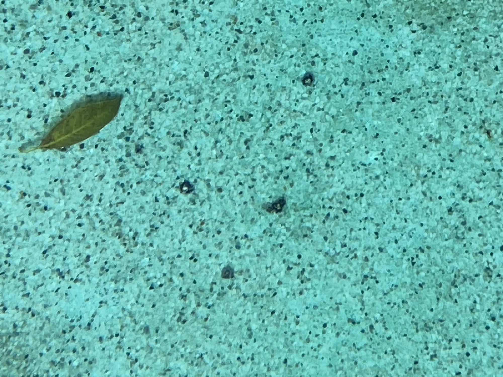 IMG_0527.jpeg
