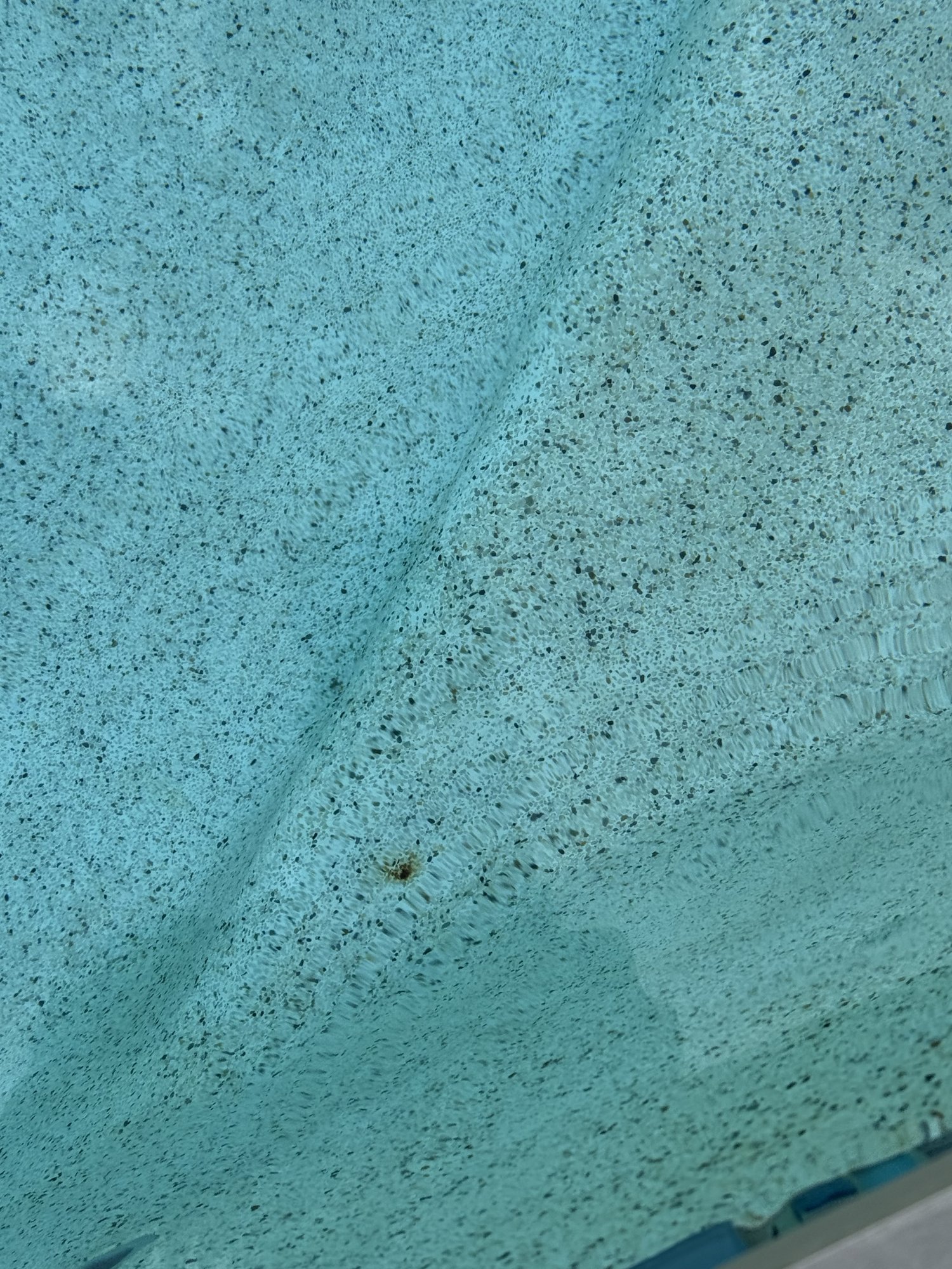 IMG_0581.jpeg