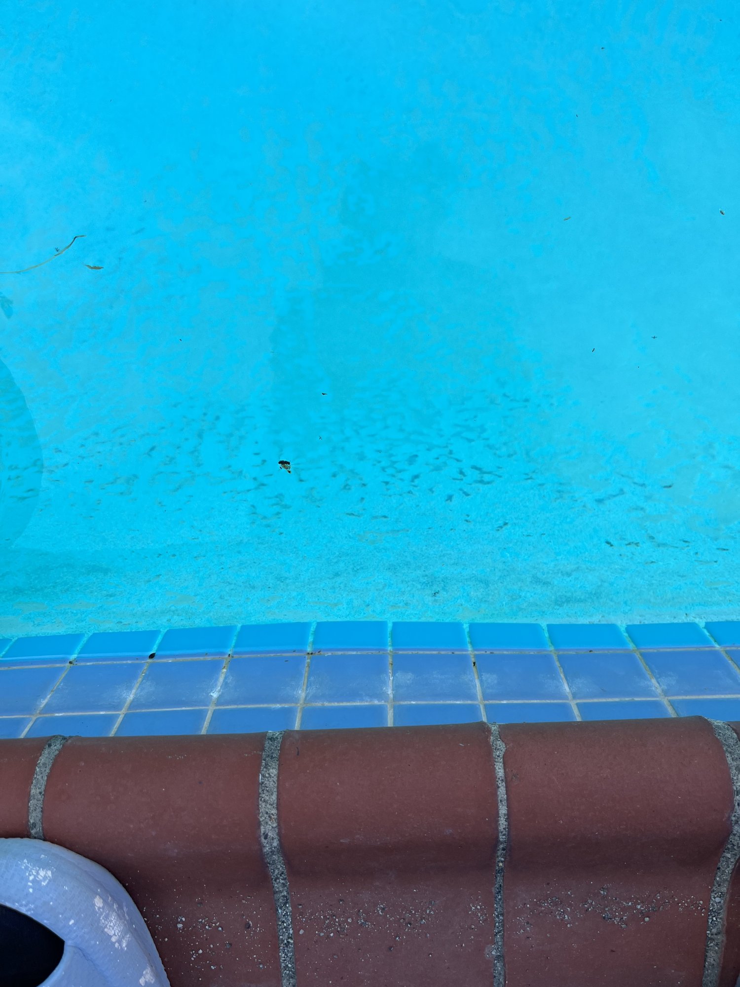 IMG_0616.jpeg