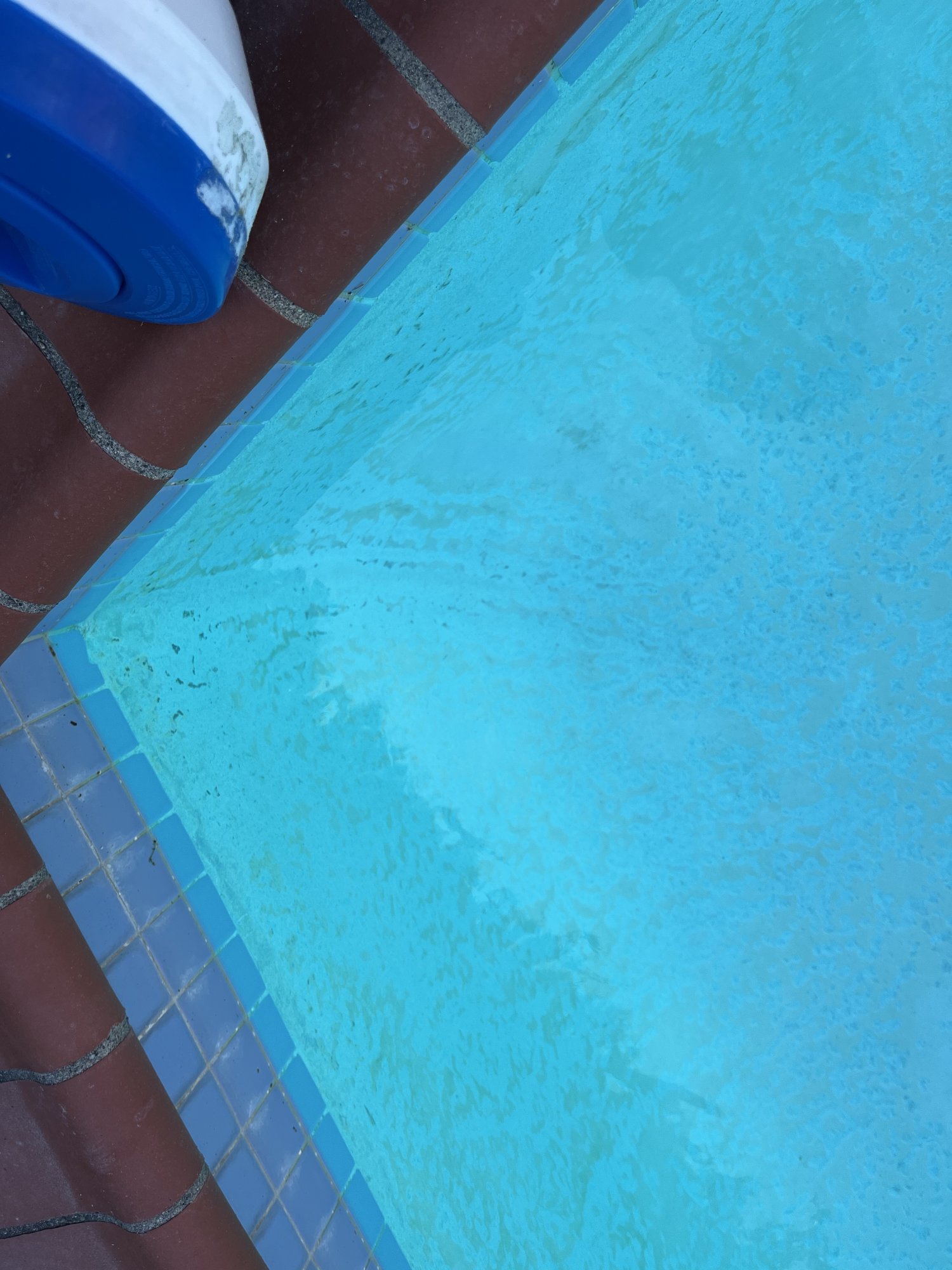 IMG_0619.jpeg