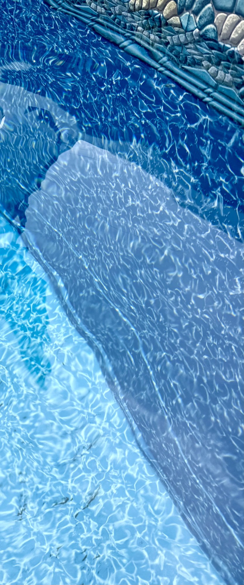 IMG_0678.jpeg