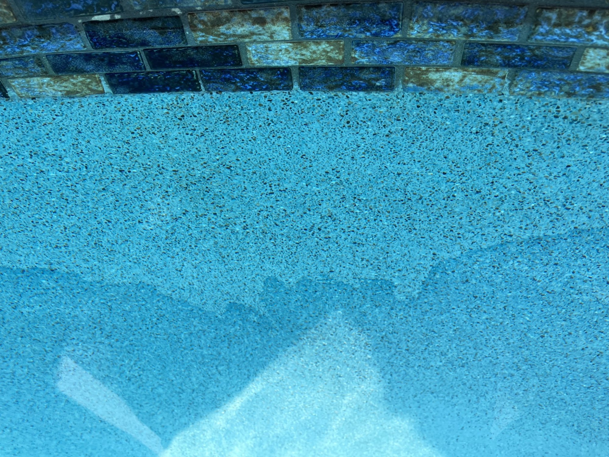 IMG_0692(2).JPEG