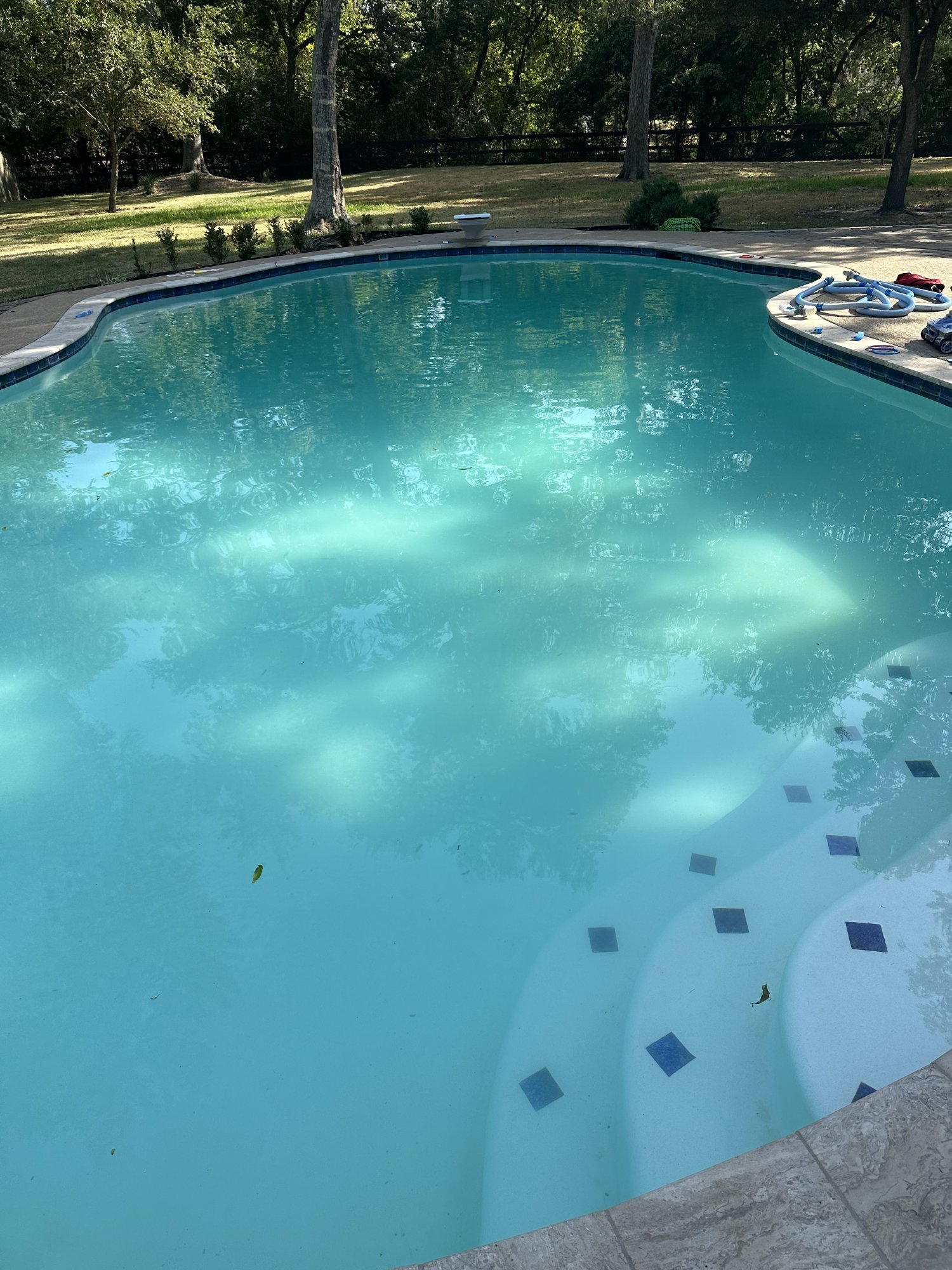 IMG_0715.jpeg