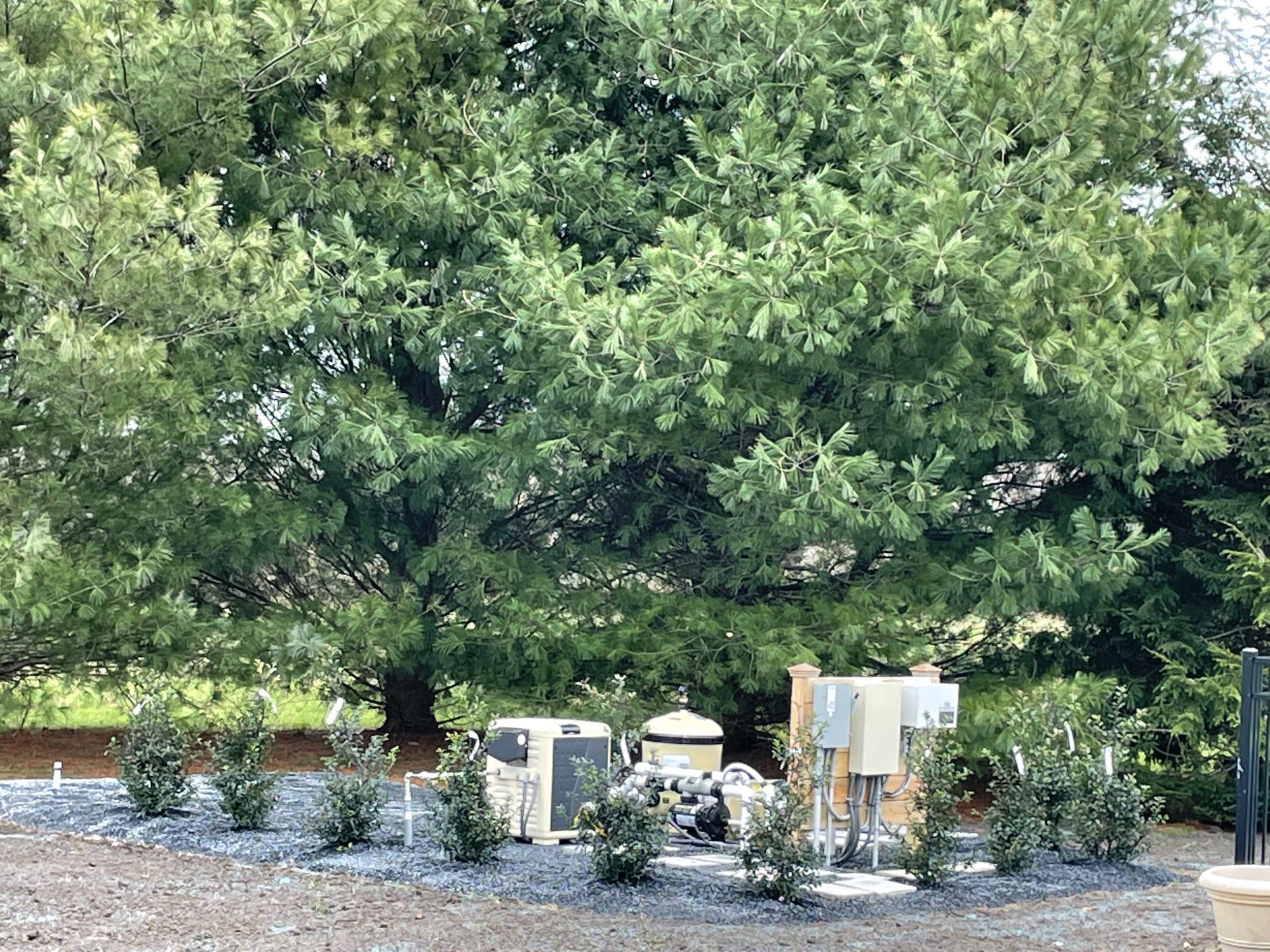 IMG_0718.jpeg