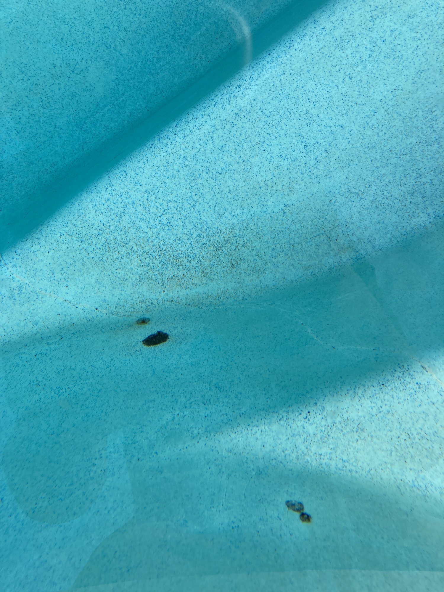 IMG_0763.jpeg