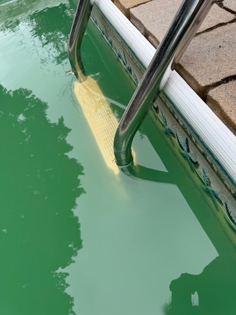 IMG_0764.jpeg