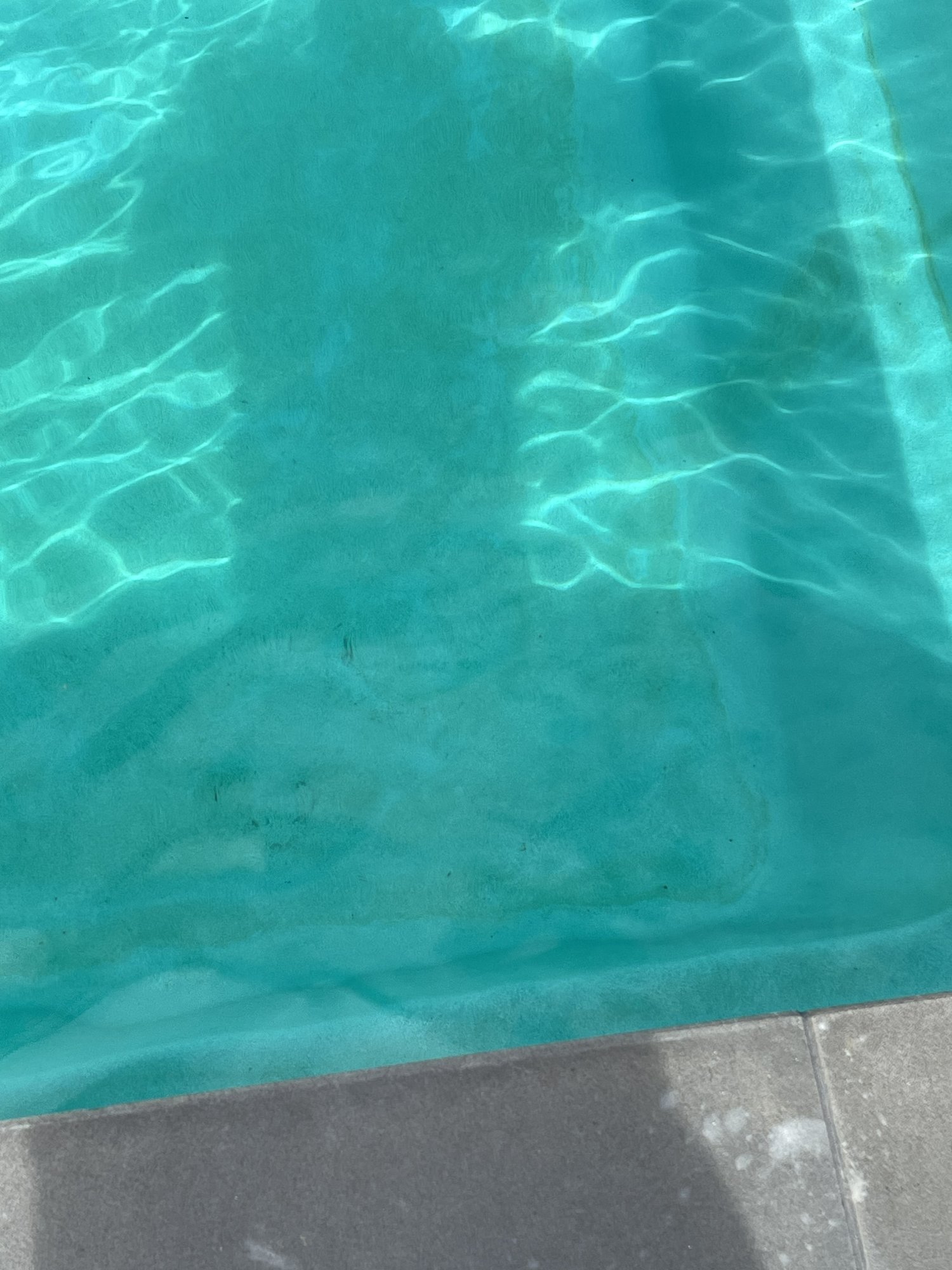 IMG_0799.jpeg