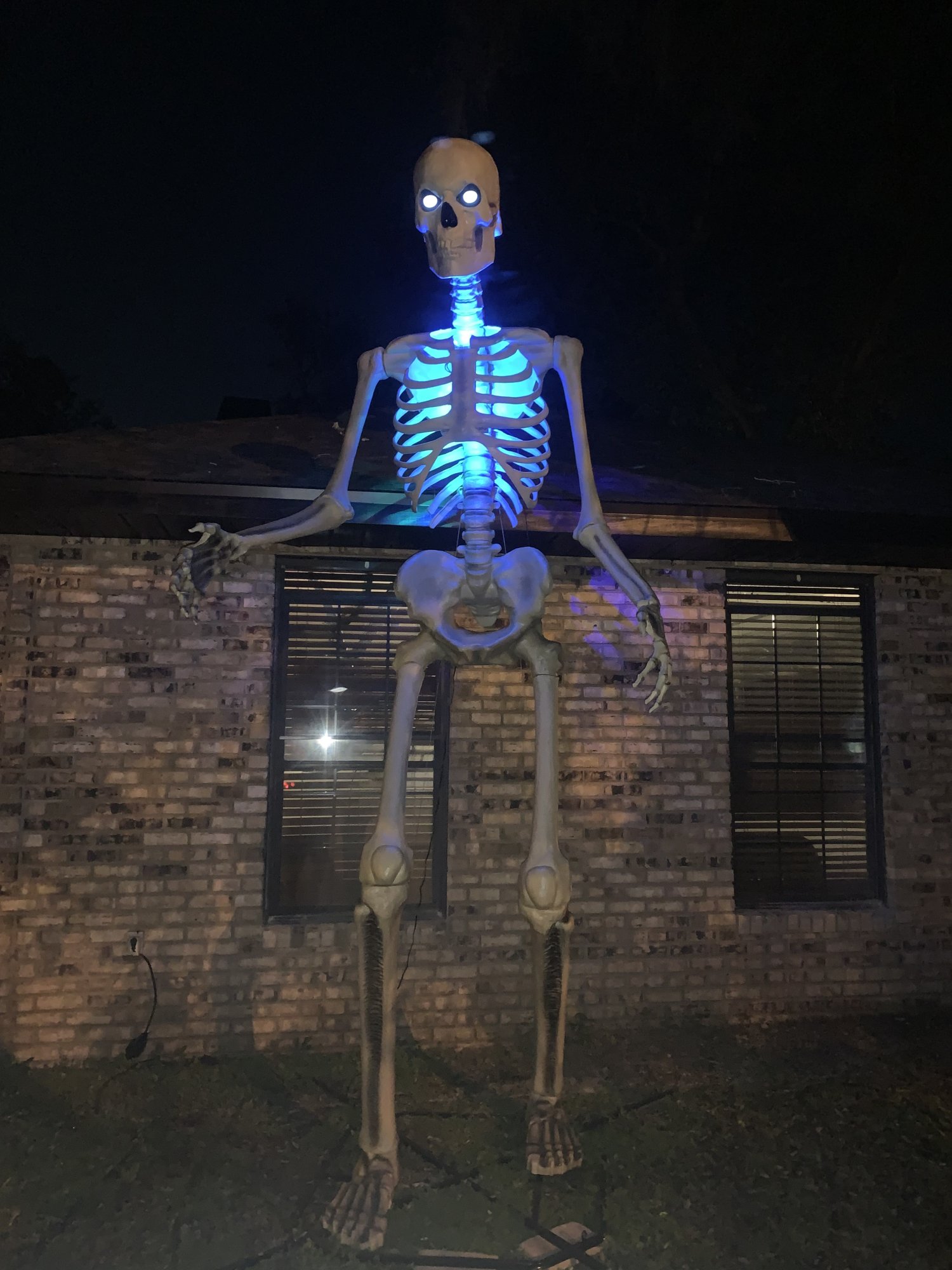 IMG_0804.jpeg
