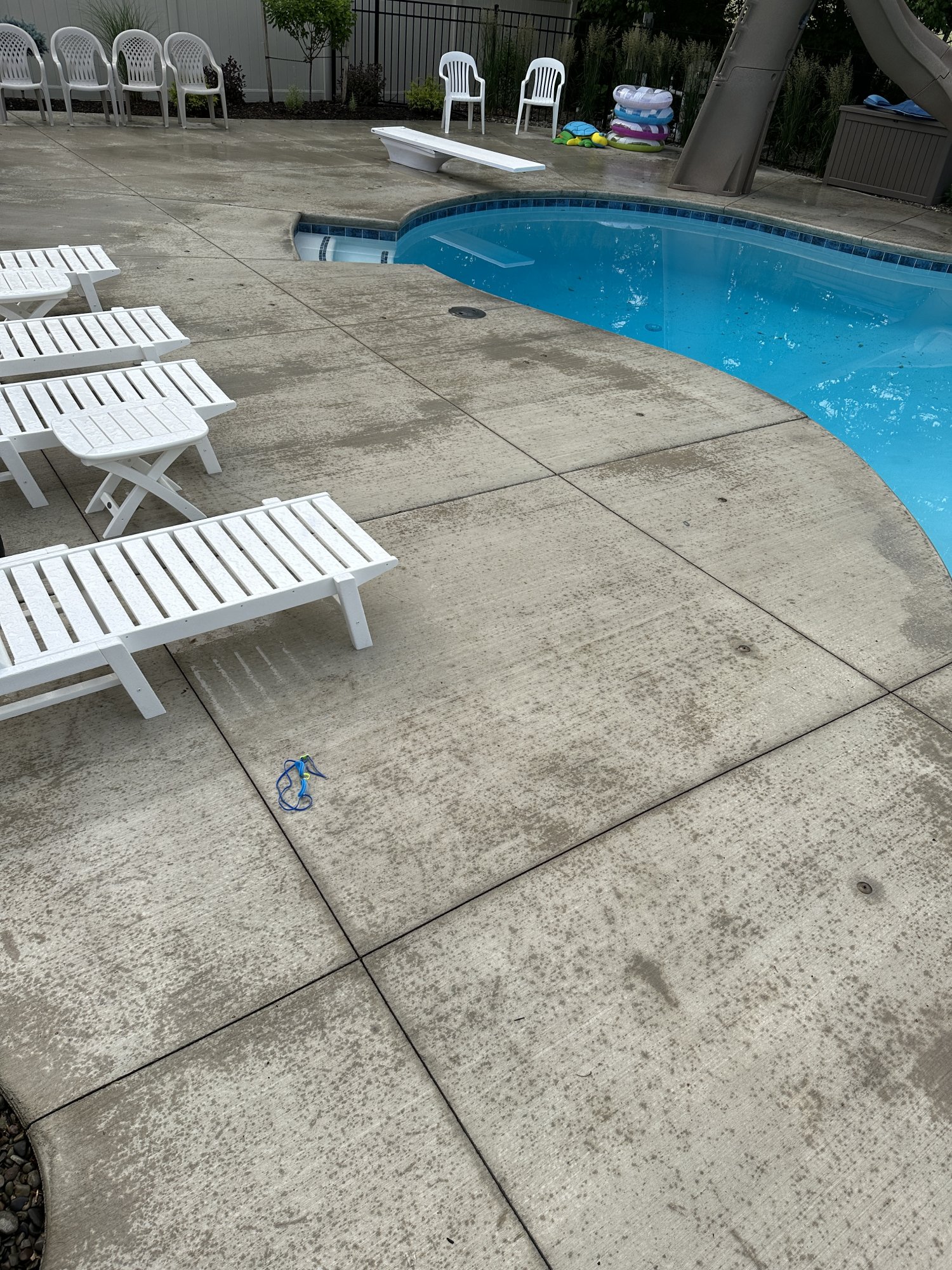 IMG_0811.jpeg