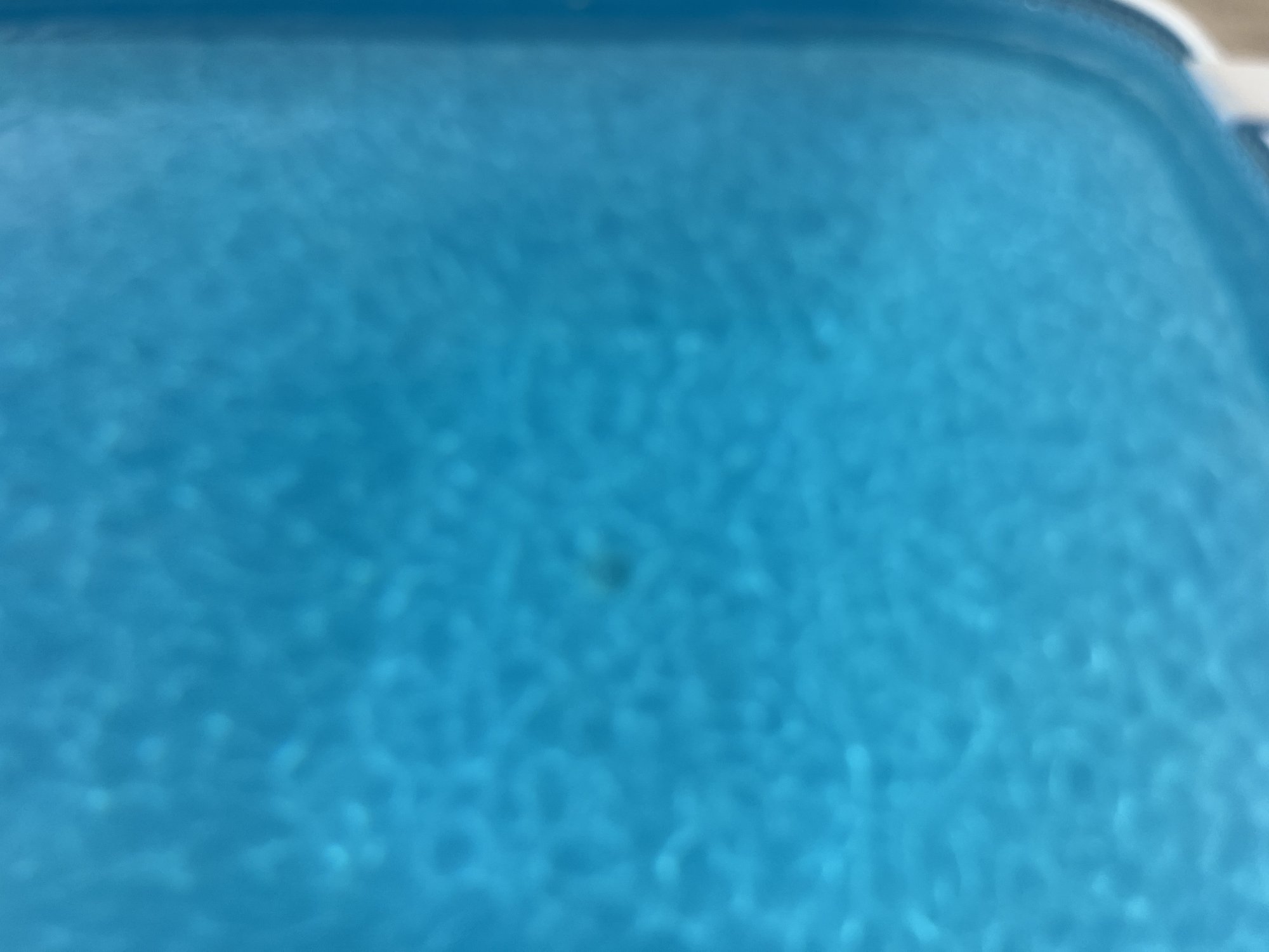 IMG_0813.jpeg
