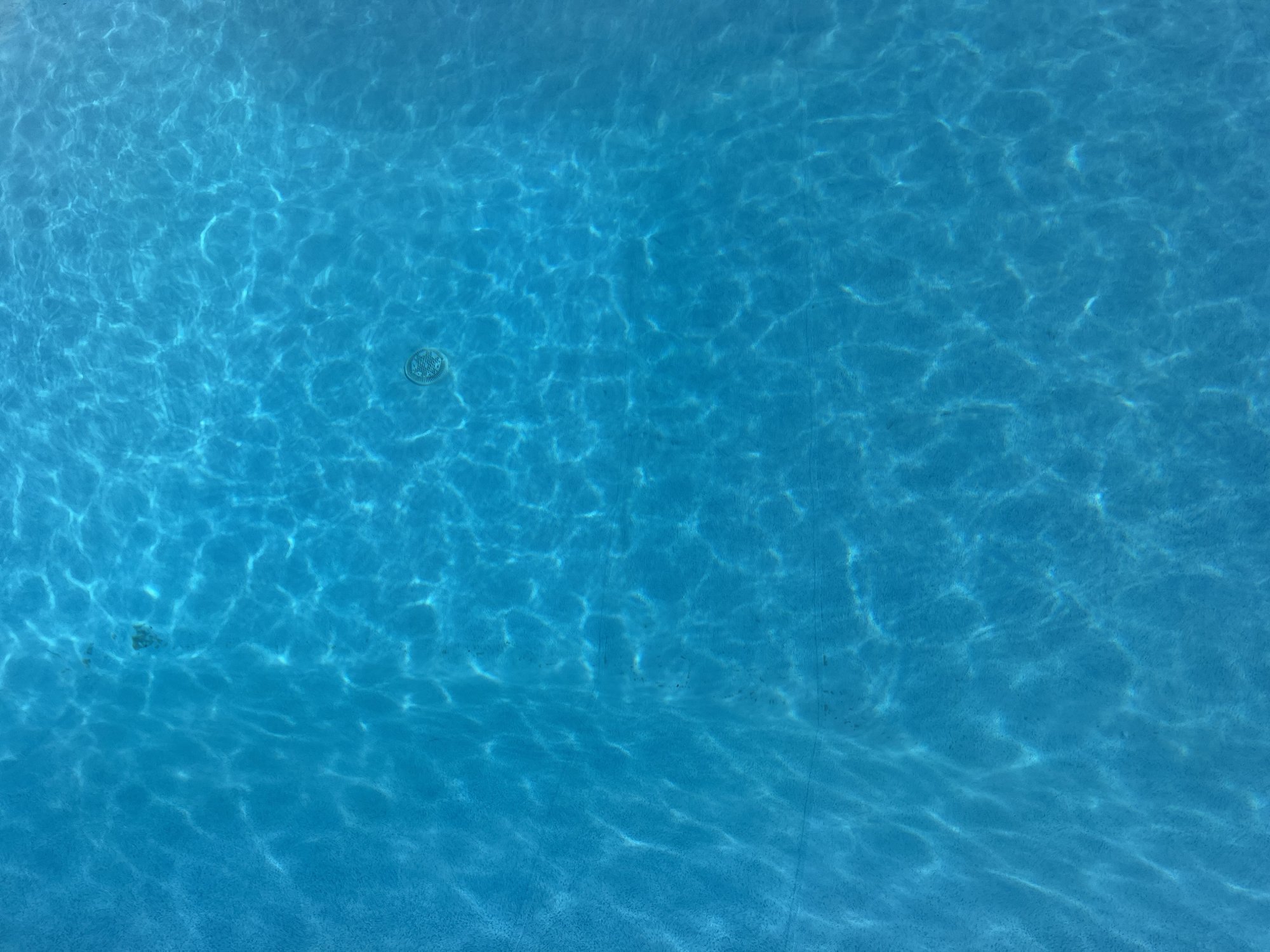 IMG_0816.jpeg