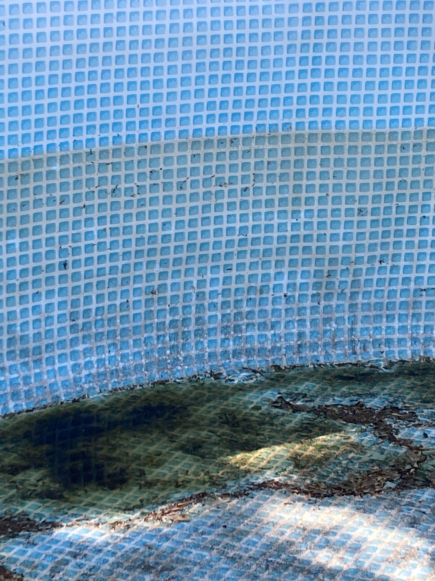 IMG_0819.jpeg