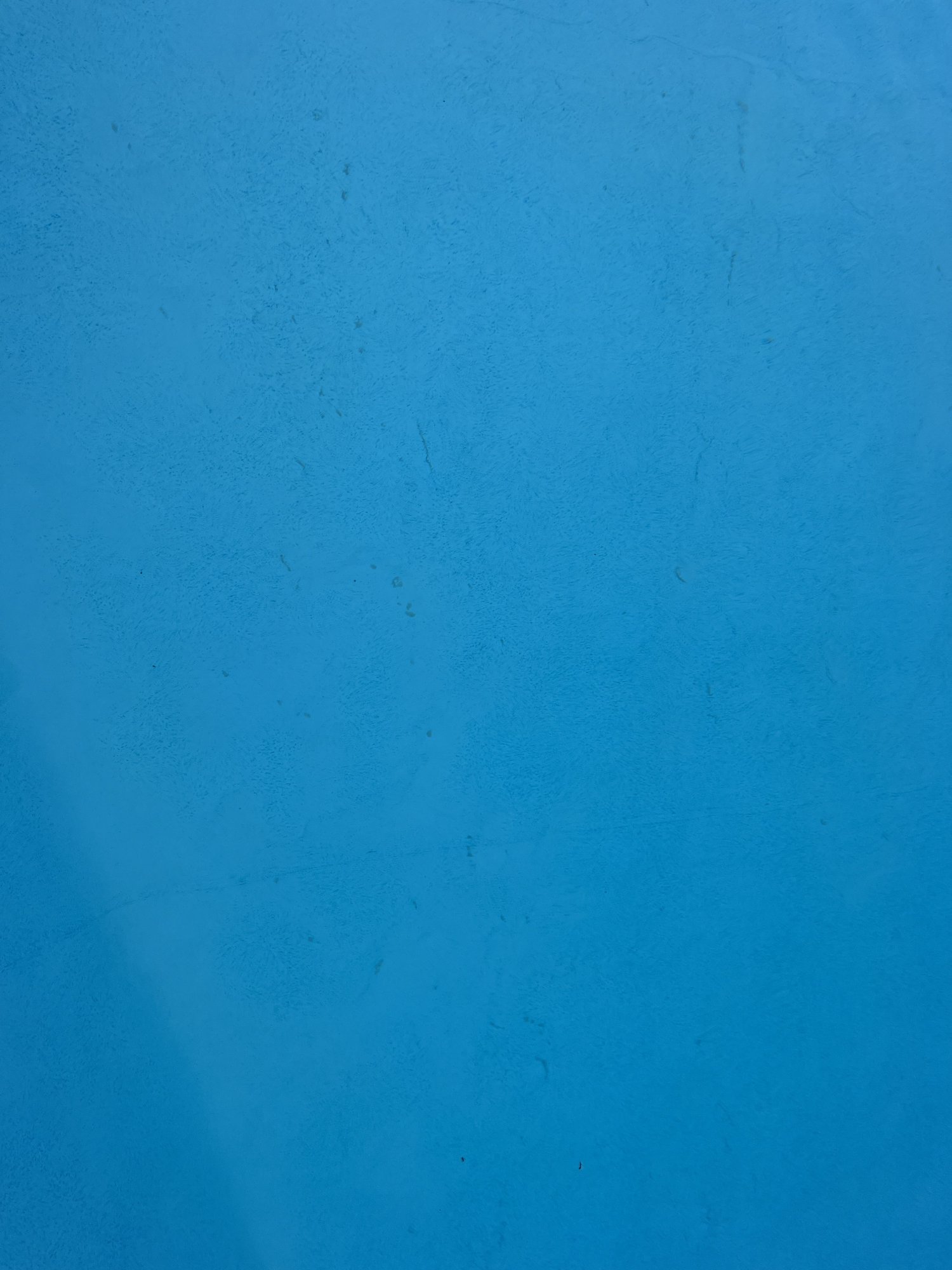 IMG_0825.jpeg