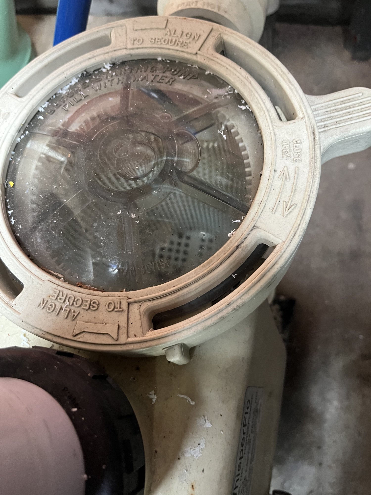 IMG_0894.jpeg