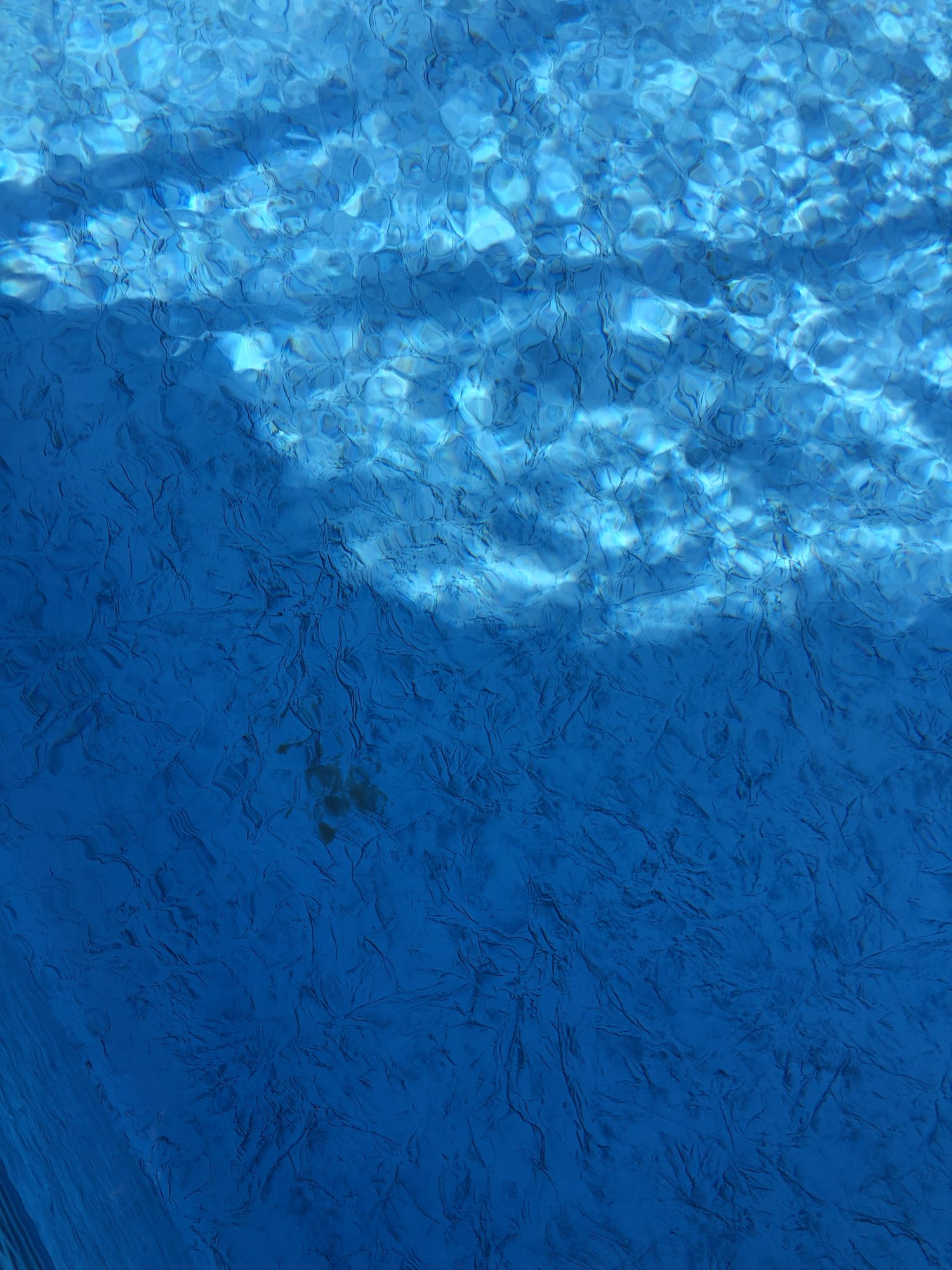 IMG_0901.jpeg
